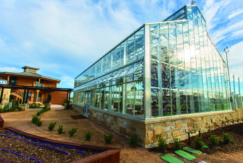 Conservatory 02
